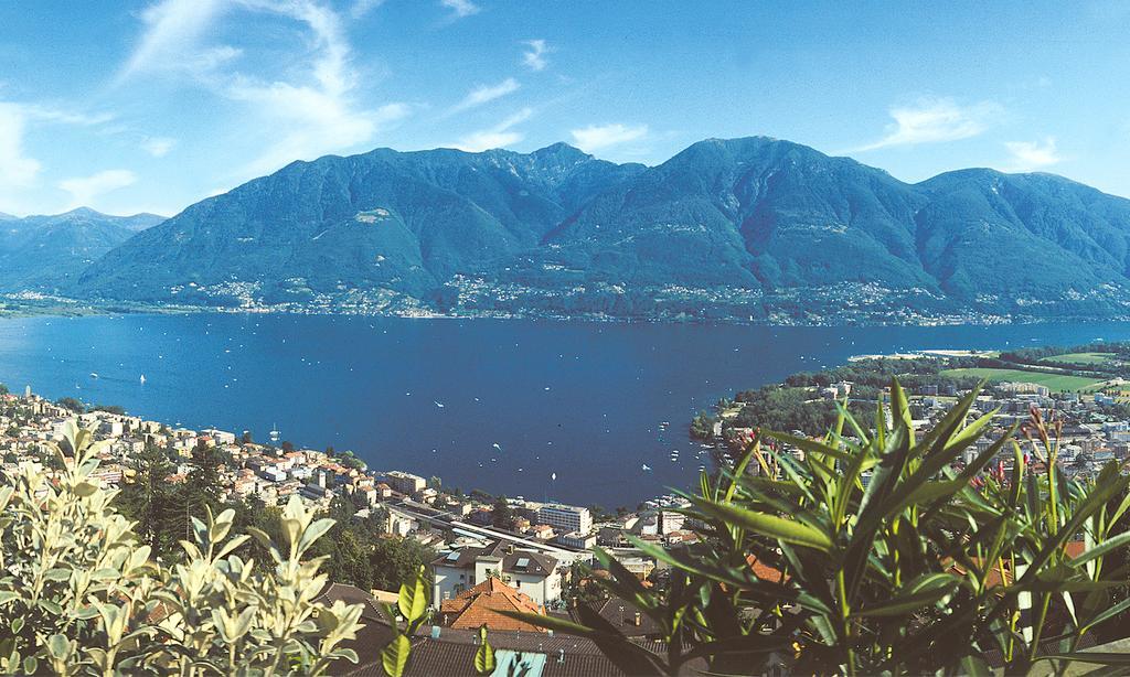 Collina D'Oro C14 By Fewotessin Orselina Zimmer foto